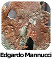 Edgardo Mannucci